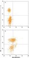 TOR antibody, IC6109C, R&D Systems, Flow Cytometry image 