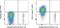 T Cell Receptor Alpha Constant antibody, 17-5766-42, Invitrogen Antibodies, Flow Cytometry image 