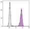 CD16 antibody, NBP1-28447, Novus Biologicals, Flow Cytometry image 