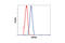 DnaJ Heat Shock Protein Family (Hsp40) Member B1 antibody, 4868S, Cell Signaling Technology, Flow Cytometry image 