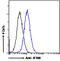 Intraflagellar Transport 88 antibody, 45-762, ProSci, Immunofluorescence image 