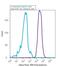 Hepatocyte Growth Factor antibody, 701283, Invitrogen Antibodies, Flow Cytometry image 