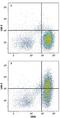 Lymphocyte Activating 3 antibody, PA5-47298, Invitrogen Antibodies, Flow Cytometry image 