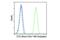 Fms Related Tyrosine Kinase 3 antibody, 46537S, Cell Signaling Technology, Flow Cytometry image 