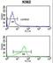 Microfibril Associated Protein 5 antibody, LS-C100906, Lifespan Biosciences, Flow Cytometry image 