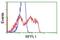 Ret Finger Protein Like 1 antibody, GTX83715, GeneTex, Flow Cytometry image 