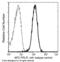 Prolactin Receptor antibody, 10278-R204-A, Sino Biological, Flow Cytometry image 