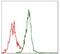 Argininosuccinate Synthase 1 antibody, NBP2-37520, Novus Biologicals, Flow Cytometry image 