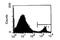 CD8b Molecule antibody, CL012BX, Origene, Flow Cytometry image 