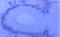 Cadherin 1 antibody, ab1416, Abcam, Immunohistochemistry paraffin image 