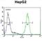 Spermatogenesis- and oogenesis-specific basic helix-loop-helix-containing protein 1 antibody, abx025987, Abbexa, Western Blot image 