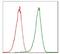 Cyclin Dependent Kinase 2 antibody, NBP2-37507, Novus Biologicals, Flow Cytometry image 