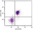 CD72 Molecule antibody, NBP1-28024, Novus Biologicals, Flow Cytometry image 