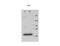 GTP-binding nuclear protein Ran antibody, MBS375064, MyBioSource, Western Blot image 