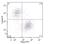 Immunoglobulin Kappa Constant antibody, NBP1-45065, Novus Biologicals, Flow Cytometry image 