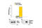 Signal Transducer And Activator Of Transcription 1 antibody, 7234C, Cell Signaling Technology, Enzyme Linked Immunosorbent Assay image 