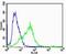 Cholinergic Receptor Nicotinic Alpha 9 Subunit antibody, PA5-49341, Invitrogen Antibodies, Flow Cytometry image 