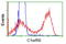 Chromosome 1 Open Reading Frame 50 antibody, TA502902, Origene, Flow Cytometry image 