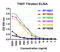 T Cell Immunoreceptor With Ig And ITIM Domains antibody, RF16053, ProSci, Enzyme Linked Immunosorbent Assay image 