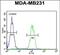 Egl-9 Family Hypoxia Inducible Factor 2 antibody, PA5-72559, Invitrogen Antibodies, Flow Cytometry image 