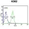 Phosphoglycolate Phosphatase antibody, abx034542, Abbexa, Western Blot image 