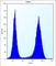 Speckle Type BTB/POZ Protein Like antibody, abx027005, Abbexa, Western Blot image 