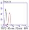 Fibroblast Growth Factor 2 antibody, NBP2-66837, Novus Biologicals, Flow Cytometry image 