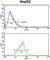 FosB Proto-Oncogene, AP-1 Transcription Factor Subunit antibody, abx033081, Abbexa, Western Blot image 