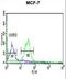 TATA-Box Binding Protein Associated Factor 2 antibody, LS-C161688, Lifespan Biosciences, Flow Cytometry image 