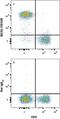 CD45R antibody, BAM1217, R&D Systems, Flow Cytometry image 