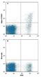 Sialic Acid Binding Ig Like Lectin 6 antibody, FAB2859A, R&D Systems, Flow Cytometry image 