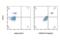 S100 Calcium Binding Protein A9 antibody, 93941S, Cell Signaling Technology, Flow Cytometry image 