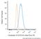 Keratin 5 antibody, NBP1-97730, Novus Biologicals, Flow Cytometry image 