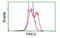 Phosphoribosylaminoimidazole Carboxylase And Phosphoribosylaminoimidazolesuccinocarboxamide Synthase antibody, MBS832682, MyBioSource, Flow Cytometry image 