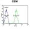 Bridging Integrator 2 antibody, abx032613, Abbexa, Flow Cytometry image 