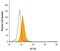 Inducible T Cell Costimulator Ligand antibody, BAF165, R&D Systems, Western Blot image 