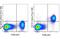 Thrombomodulin antibody, 53-1411-80, Invitrogen Antibodies, Flow Cytometry image 