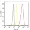 Solute Carrier Family 2 Member 1 antibody, MA5-11315, Invitrogen Antibodies, Flow Cytometry image 