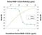 CD226 Molecule antibody, AF666, R&D Systems, Western Blot image 