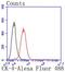 Keratin 4 antibody, NBP2-67706, Novus Biologicals, Flow Cytometry image 