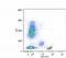 CD4 antibody, SM3020F, Origene, Flow Cytometry image 