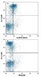 Colony Stimulating Factor 3 Receptor antibody, FAB6039G, R&D Systems, Flow Cytometry image 