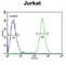 SAM Domain, SH3 Domain And Nuclear Localization Signals 1 antibody, abx032652, Abbexa, Western Blot image 