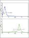 Thymine DNA Glycosylase antibody, 62-366, ProSci, Flow Cytometry image 