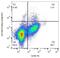 Killer Cell Immunoglobulin Like Receptor, Two Ig Domains And Long Cytoplasmic Tail 5A antibody, GTX00515, GeneTex, Flow Cytometry image 