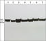 alpha-Tubulin antibody, TM4111, ECM Biosciences, Western Blot image 