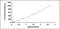 Cathepsin K antibody, MBS2021795, MyBioSource, Enzyme Linked Immunosorbent Assay image 