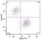 Kappa light chains antibody, MA1-10388, Invitrogen Antibodies, Flow Cytometry image 