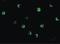 Nucleotide Binding Oligomerization Domain Containing 2 antibody, LS-B2721, Lifespan Biosciences, Immunofluorescence image 