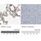 Cartilage Acidic Protein 1 antibody, NBP1-88864, Novus Biologicals, Immunohistochemistry paraffin image 